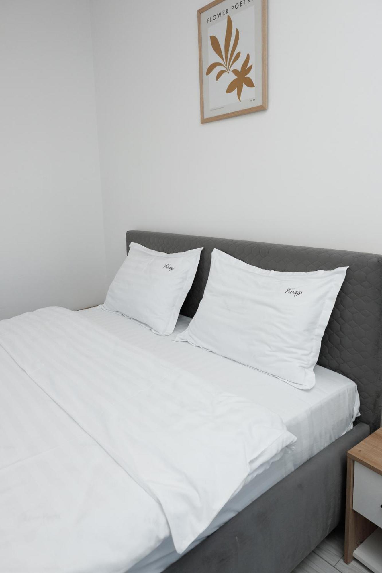 Exclusive Ultracentral Apartments And Studios #Enescu#Universitatii#Suceava Exteriör bild